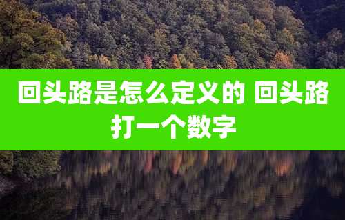 回头路是怎么定义的 回头路打一个数字