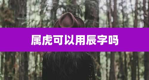 属虎可以用辰字吗