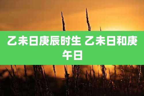 乙未日庚辰时生 乙未日和庚午日