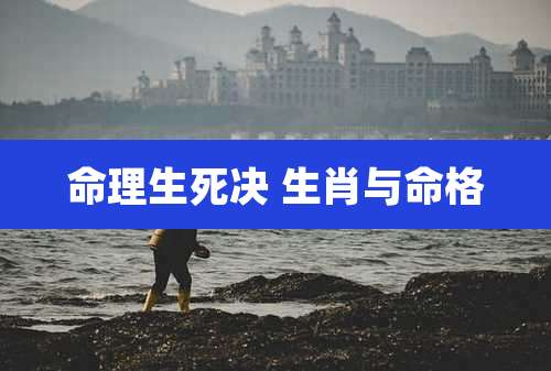 命理生死决 生肖与命格