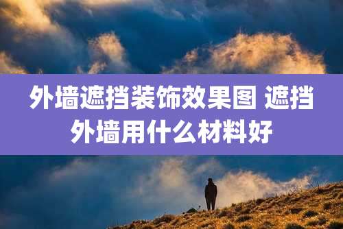 外墙遮挡装饰效果图 遮挡外墙用什么材料好