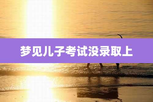 梦见儿子考试没录取上