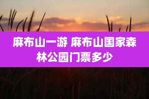 麻布山一游 麻布山国家森林公园门票多少
