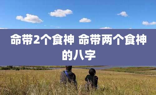 命带2个食神 命带两个食神的八字