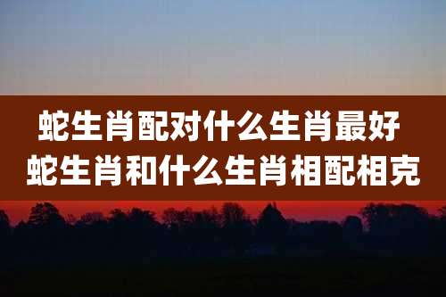 蛇生肖配对什么生肖最好 蛇生肖和什么生肖相配相克