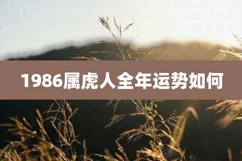 1986属虎人全年运势如何