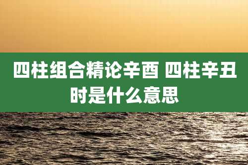 四柱组合精论辛酉 四柱辛丑时是什么意思