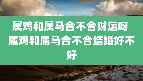 属鸡和属马合不合财运呀 属鸡和属马合不合结婚好不好