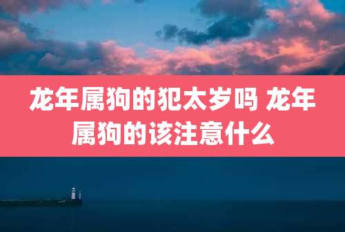 龙年属狗的犯太岁吗 龙年属狗的该注意什么