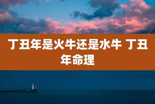 丁丑年是火牛还是水牛 丁丑年命理