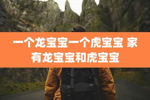 一个龙宝宝一个虎宝宝 家有龙宝宝和虎宝宝
