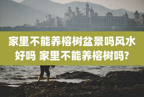 家里不能养榕树盆景吗风水好吗 家里不能养榕树吗?