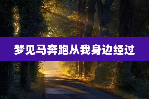 梦见马奔跑从我身边经过