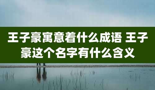 王子豪寓意着什么成语 王子豪这个名字有什么含义