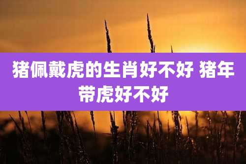 猪佩戴虎的生肖好不好 猪年带虎好不好