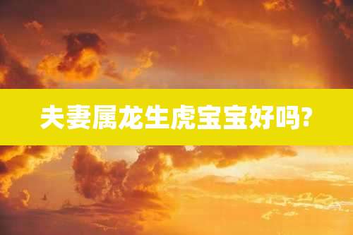 夫妻属龙生虎宝宝好吗?