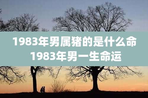 1983年男属猪的是什么命 1983年男一生命运