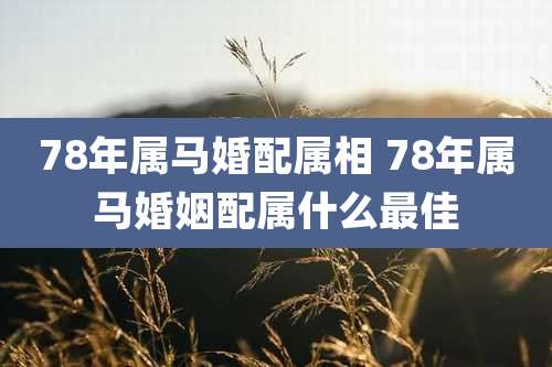 78年属马婚配属相 78年属马婚姻配属什么最佳