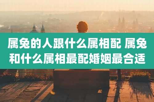 属兔的人跟什么属相配 属兔和什么属相最配婚姻最合适