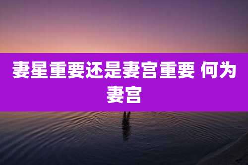 妻星重要还是妻宫重要 何为妻宫