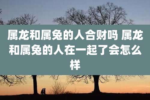 属龙和属兔的人合财吗 属龙和属兔的人在一起了会怎么样