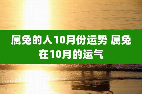 属兔的人10月份运势 属兔在10月的运气