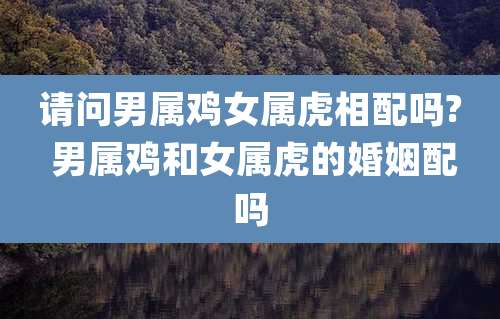 请问男属鸡女属虎相配吗? 男属鸡和女属虎的婚姻配吗
