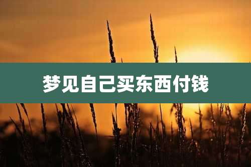 梦见自己买东西付钱