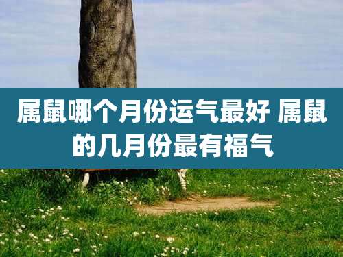属鼠哪个月份运气最好 属鼠的几月份最有福气