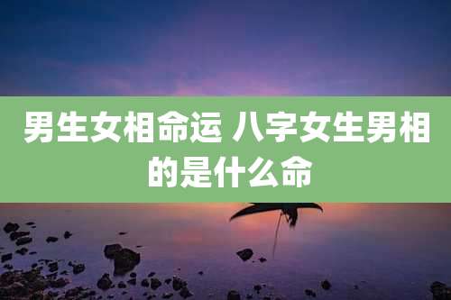 男生女相命运 八字女生男相 的是什么命