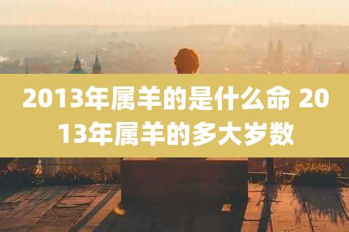 2013年属羊的是什么命 2013年属羊的多大岁数