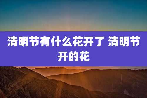 清明节有什么花开了 清明节开的花