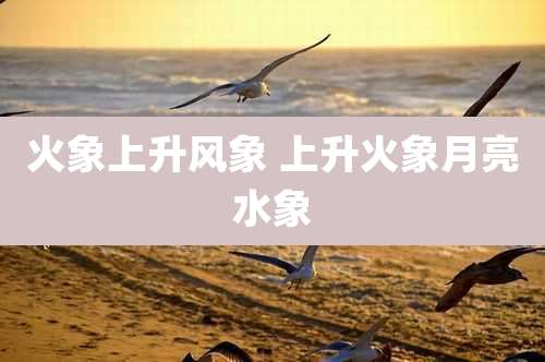火象上升风象 上升火象月亮水象