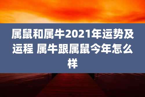 属鼠和属牛2021年运势及运程 属牛跟属鼠今年怎么样