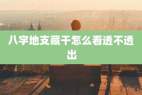八字地支藏干怎么看透不透出