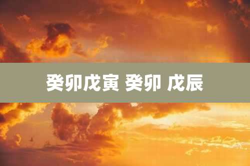 癸卯戊寅 癸卯 戊辰