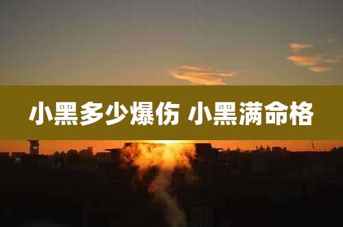 小黑多少爆伤 小黑满命格