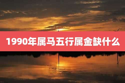 1990年属马五行属金缺什么