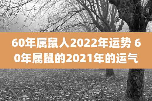 60年属鼠人2022年运势 60年属鼠的2021年的运气