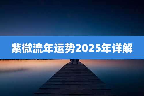 紫微流年运势2025年详解