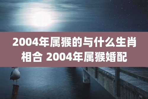 2004年属猴的与什么生肖相合 2004年属猴婚配