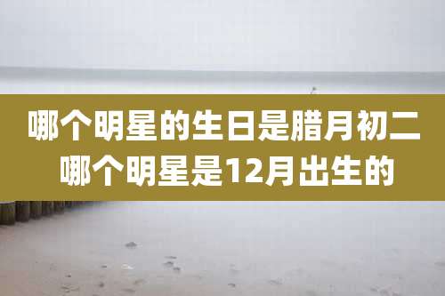 哪个明星的生日是腊月初二 哪个明星是12月出生的