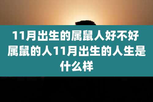 11月出生的属鼠人好不好 属鼠的人11月出生的人生是什么样