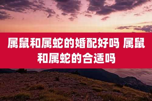 属鼠和属蛇的婚配好吗 属鼠和属蛇的合适吗