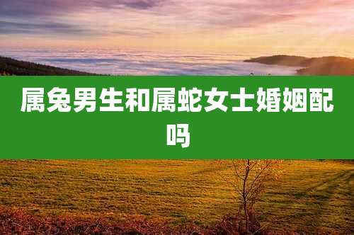 属兔男生和属蛇女士婚姻配吗