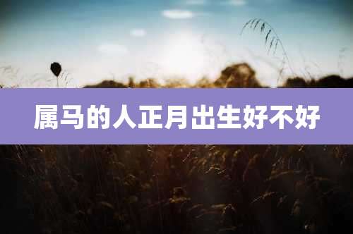 属马的人正月出生好不好