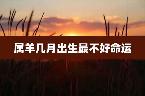属羊几月出生最不好命运