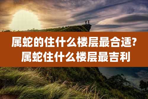 属蛇的住什么楼层最合适? 属蛇住什么楼层最吉利