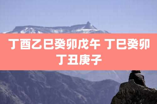 丁酉乙巳癸卯戊午 丁巳癸卯丁丑庚子
