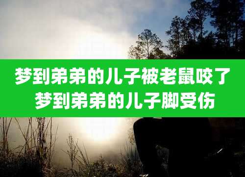 梦到弟弟的儿子被老鼠咬了 梦到弟弟的儿子脚受伤